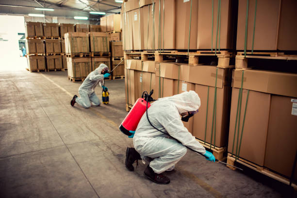 Best Cockroach Control Services  in Brown Station, MD