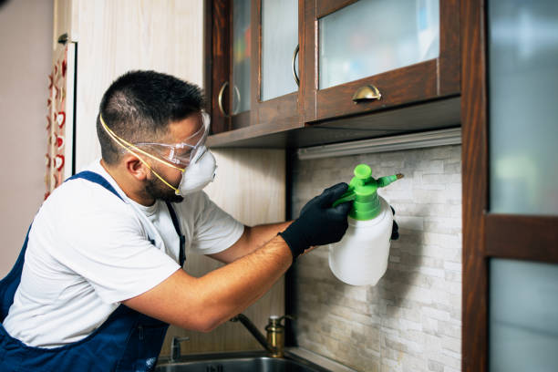 Best Best Pest Control Companies  in Brown Station, MD