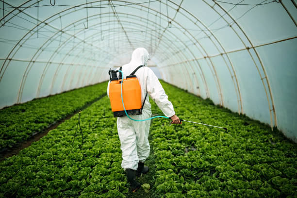 Reliable Brown Station, MD Pest Control Solutions