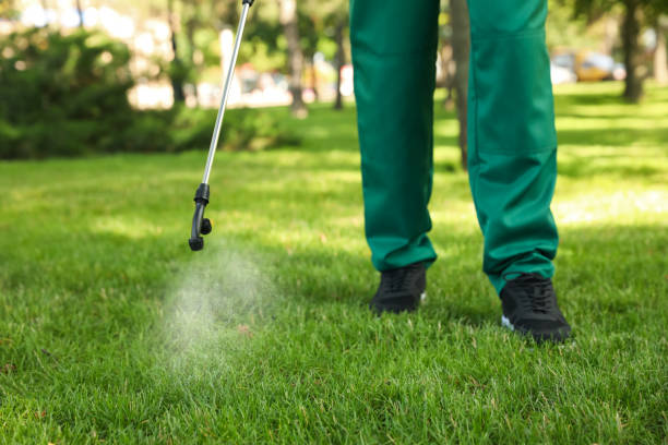 Best Pest Control for Homes  in Brown Station, MD