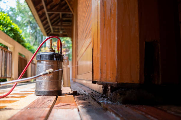 Best Ant Control Services  in Brown Station, MD