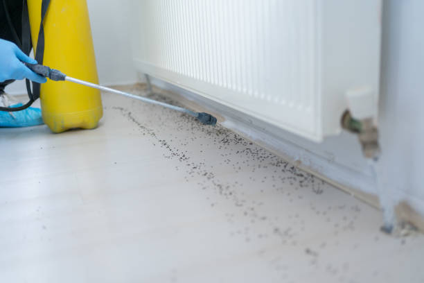 Best Best Pest Control Companies  in Brown Station, MD