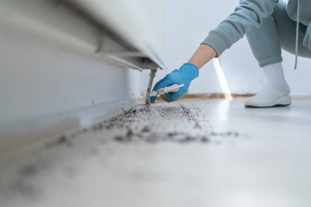 Best Best Pest Control Companies  in Brown Station, MD